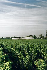 Chateau Cheval Blanc Chateau Cheval Blanc