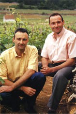 Domaine Rossignol-Trapet Domaine Rossignol-Trapet