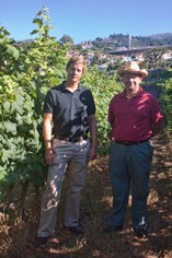 Madeira Wine Company Madeira Wine Company