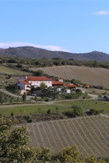 Domaine Gauby Domaine Gauby