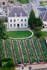 Bollinger Bollinger