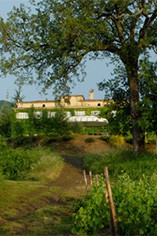 Fattoria Galardi Fattoria Galardi