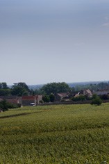 Maison Pierre Yves Colin-Morey Maison Pierre Yves Colin-Morey
