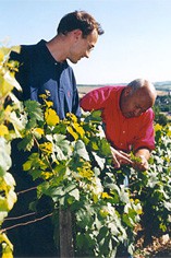 Domaine Christian Moreau Domaine Christian Moreau