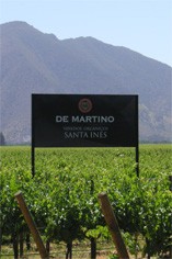 De Martino De Martino