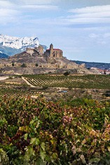 Bodegas Rothschild & Vega Sicilia Bodegas Rothschild & Vega Sicilia