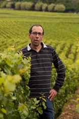 Domaine Jacques Carillon Domaine Jacques Carillon