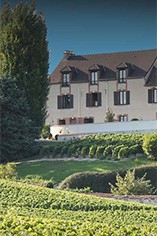 Champagne Lancelot-Pienne Champagne Lancelot-Pienne