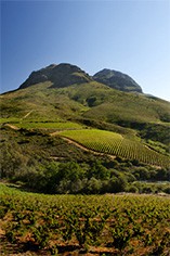Keermont Vineyards Keermont Vineyards