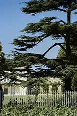 Chateau Lynch Bages Chateau Lynch Bages