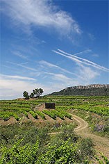 Clos Figueras Clos Figueras
