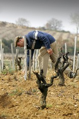 Chateau Rayas Chateau Rayas