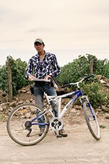 Almaviva Almaviva