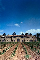 Chateau Pavie Chateau Pavie