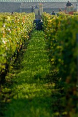 Clos de l'Oratoire Clos de l'Oratoire
