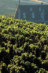 Chateau Berliquet Chateau Berliquet