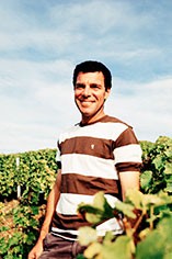 Dme. David Sautereau, Sancerre Dme. David Sautereau, Sancerre