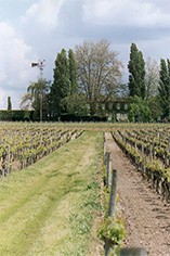 Chateau Trotanoy Chateau Trotanoy