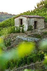 Domaine Delas Freres Domaine Delas Freres