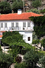 Fonseca Fonseca