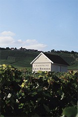 Louis Roederer Louis Roederer