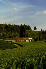 Chateau Fleur Cardinale Chateau Fleur Cardinale