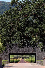 Dominus Estate Dominus Estate