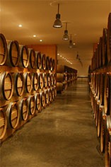 Chateau Gloria Chateau Gloria
