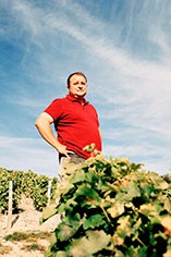 Domaine Francois Cotat, Chavignol Domaine Francois Cotat, Chavignol