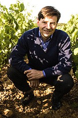 Louis Jadot Louis Jadot