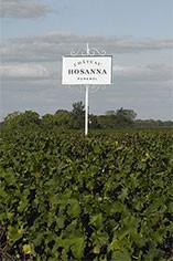 Chateau Hosanna Chateau Hosanna