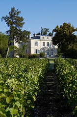 Dourthe Dourthe