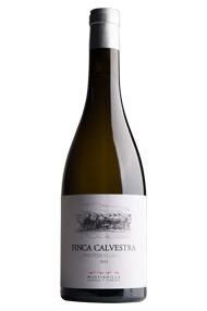 2013 Finca Calvestra, Merseguera, Bodega Mustiguillo 2013 Finca Calvestra, Merseguera, Bodega Mustiguillo