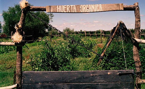 Organic Viticulture
